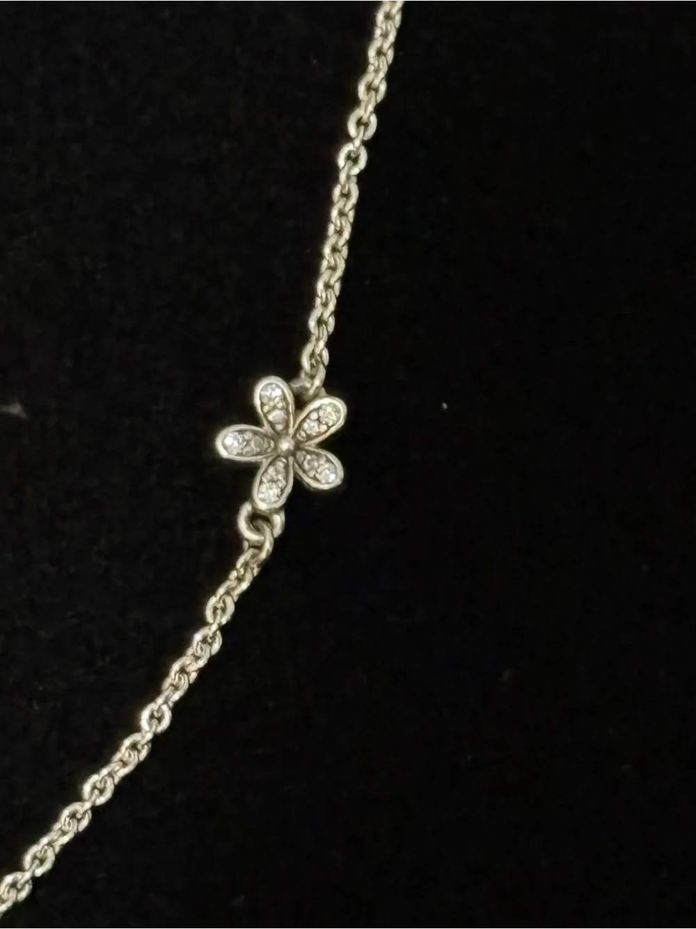 Pandora Sterling 925 Silver Poetic Blooms Bolo Necklace 590518ENMX-.22